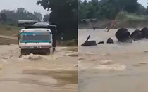Tài xế xe tải mất tích khi cố lái xe vượt qua dòng nước lũ