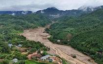 Trả cây cho rừng