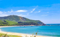 Điều chỉnh cục bộ quy hoạch chi tiết hệ thống cảng biển