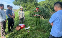 Hà Tĩnh: Xử phạt 746 triệu đồng đối với 4 cơ sở vi phạm môi trường