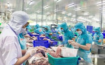 Doanh nghiệp thủy sản tăng tốc, nhưng "bài toán Mỹ" vẫn là ẩn số lớn