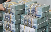 Thanh tra NHNN cảnh báo rủi ro một số khoản vay tại ngân hàng chi nhánh Đà Nẵng