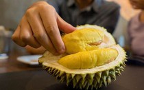 Người đàn ông 50 tuổi đột quỵ sau khi ăn 7 trái sầu riêng trong một ngày