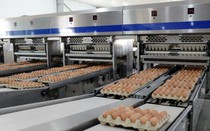 Nông nghiệp Hòa Phát dự kiến niêm yết trên sàn HoSE vào tháng 12/2025