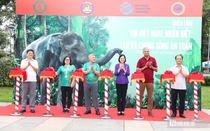 Gần 500 người tham gia "Nhảy vì sự tử tế với loài voi và các loài động vật hoang dã"