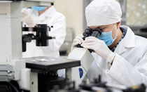 9 nhà khoa học Việt Nam lọt nhóm 10.000 nhà khoa học hàng đầu thế giới 2025