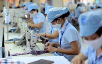 Xác định điều kiện hưởng lương hưu với người chỉ có năm sinh theo quy định mới nhất
