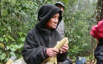 Phép màu giữa rừng già: Cụ ông 78 tuổi mất tích 6 ngày được tìm thấy còn sống