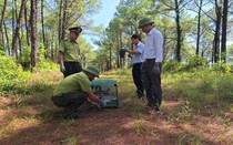 Giải cứu chim rừng giữa mùa Vu Lan, Huế quyết dẹp “nạn” phóng sinh sai cách