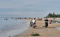 Ruốc về bờ dày đặc, hàng trăm người dân ra bãi biển vớt thu tiền triệu