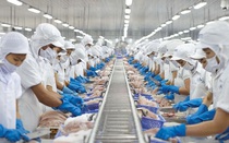 Vĩnh Hoàn bị phạt nặng