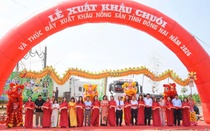 Đồng Nai xuất khẩu 220 tấn chuối, mở rộng thị trường nông sản năm 2026