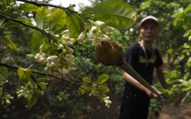 Những việc làm chân tay hốt bạc, mỗi ngày kiếm nửa triệu đồng