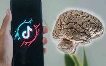 10 tác hại của TikTok mà ai cũng phải suy ngẫm