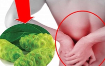 Vương Hoạt – sản phẩm cho người đau lưng, đau vai gáy, thoái hóa cột sống