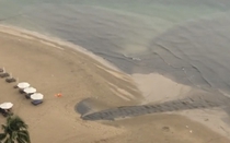 Tin tức 24h qua: Tìm ra nguồn gốc dòng nước đen ngòm chảy thẳng ra biển Nha Trang