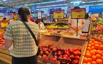 Cà chua đắt hơn hoa quả nhập khẩu, bà nội trợ “méo mặt” mua từng quả về ăn