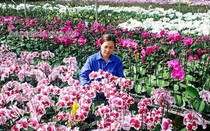 Ứng dụng công nghệ sinh học trong sản xuất nông nghiệp