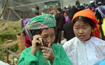 FPT Telecom chây ì nghĩa vụ với Quỹ Dịch vụ Viễn thông công ích