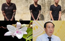 An ninh hình sự 24h: Khởi tố cựu Thứ trưởng bộ GTVT Nguyễn Hồng Trường; bóc mẽ thủ đoạn bán lan đột biến tiền tỷ
