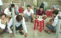 Bắt 9 đối tượng đá gà ăn thua bằng tiền qua mạng