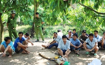 Triệt phá tụ điểm đá gà ăn thua bằng tiền, bắt giữ hàng chục con bạc