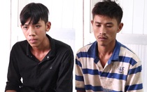 Khởi tố hai con nghiện trộm mai vàng cận Tết