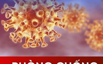 Việt kiều Mỹ ở An Giang âm tính với virus Corona