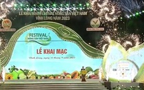 Khai mạc Festival Nông sản Việt Nam - Vĩnh Long năm 2023