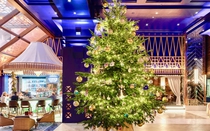 Chiêm ngưỡng cây thông Noel đắt nhất thế giới làm từ kim cương và sapphire