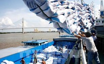 Phó Thủ tướng yêu cầu làm rõ vụ hải quan mở tờ khai xuất khẩu gạo lúc nửa đêm