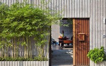 Trồng 12 loại cây phong thủy này trước cổng nhà để chiêu tiền tài