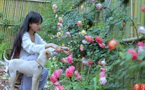 Cận cảnh căn nhà đẹp như chốn tiên cảnh của triệu phú Lý Tử Thất