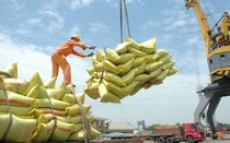 Bị "tố" mở tờ khai lúc nửa đêm rồi báo hết sau 3 giờ, Tổng cục Hải quan nói gì?