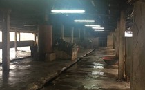 Điều tra vụ người đàn ông đâm bạn tử vong tại lò mổ lợn