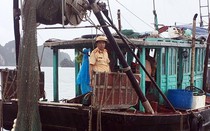 Quảng Ninh: Phát hiện, bắt giữ nhiều tàu khai thác thủy sản trái phép