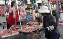 Đẩy mạnh các giải pháp đưa giá thịt lợn hơi về mức 60.000 đồng/kg
