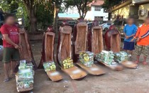 Chiêu mới của tội phạm: Giấu ma túy vào ruột tượng gỗ