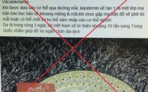 Củng cố hồ sơ, xử lý người tung tin dùng ma túy trị virus corona