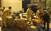 Hà Giang: Bắt giữ hơn 700 kg pháo nổ tử Trung Quốc chuyển về