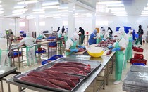 Ban hành văn bản làm khó doanh nghiệp: Xử mãi vẫn còn tồn tại