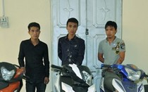 Nhóm trộm cắp, cướp giật 9X liên tỉnh có nhiều tiền án “sa lưới”