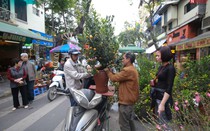 Chất lượng không khí ngày 17/1: TP.HCM vẫn ở mức kém, Hà Nội trong lành