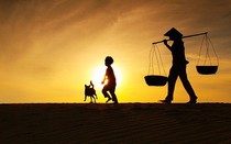 Hình hài của tình yêu