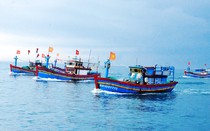 Xử lý nghiêm doanh nghiệp thủy sản dung túng cho hành vi khai thác IUU