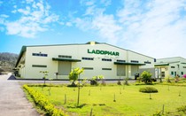 Một cổ phiếu tăng trần 9 phiên khi xuất hiện bóng dáng Louis Holding