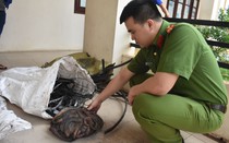 Bắc Giang: Bắt giữ ổ nhóm chuyên trộm cắp dây cáp viễn thông
