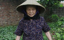 Xúc động cụ bà 79 tuổi bán từng mớ rau lấy tiền ủng hộ phòng chống dịch Covid-19