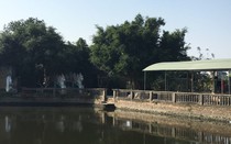 Vụ phát hiện thi thể nam thanh niên dưới ao: Nghi phạm đầu thú
