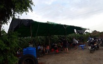 Bắt giữ hàng chục đối tượng dựng lều đá gà ăn tiền ở ven sông